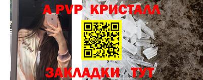стафф Моздок