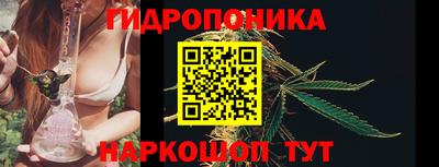 стафф Моздок
