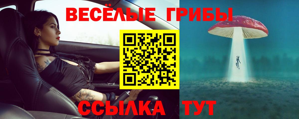 Галлюциногенные грибы прущие грибы  продажа наркотиков  Усолье-Сибирское  Вход с VPN 